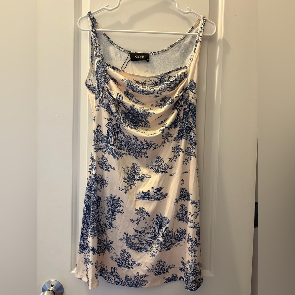 Cider Cream and Blue Mini Dress